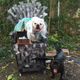 Illustration for article titled When You Play the Game of Bones, You Win or You Daaaw